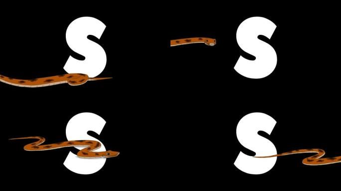 字母S和Snake在前景
