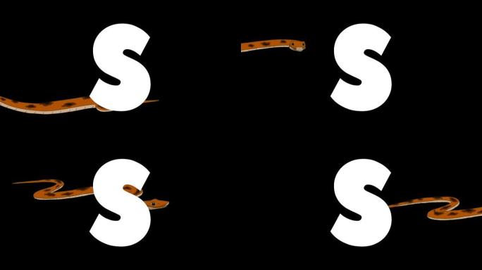 背景上的字母S和蛇