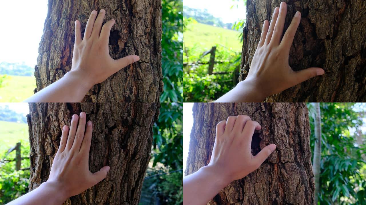 树爱好者用他们的手触摸树。
