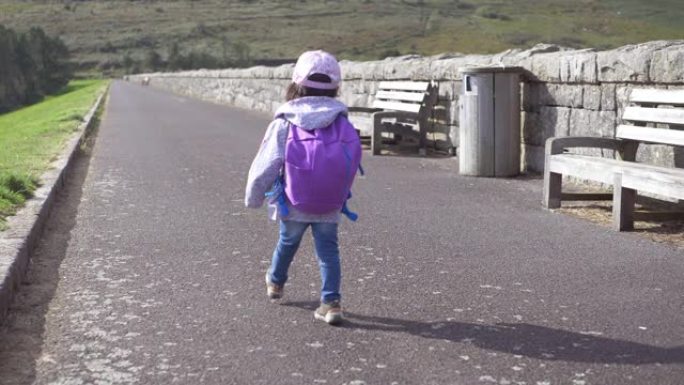 北爱尔兰乡村徒步旅行的蹒跚学步的女孩