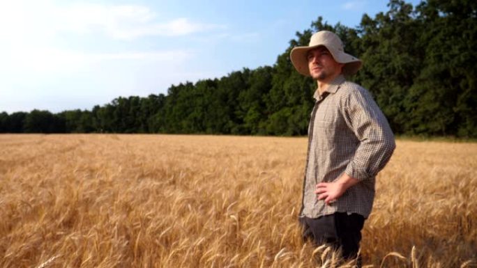 站在麦田里看着黄金种植园的男性农民的特写。年轻的农艺师在晴天检查大麦草地。农业商业概念。多莉拍摄慢动