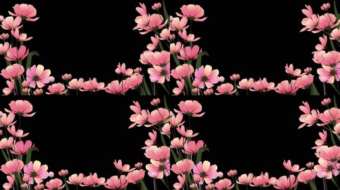 粉色唯美浪漫花朵边框遮罩