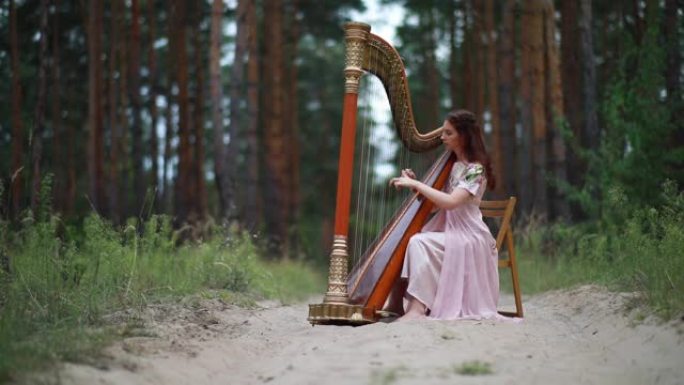 女竖琴手坐在森林里弹奏竖琴。