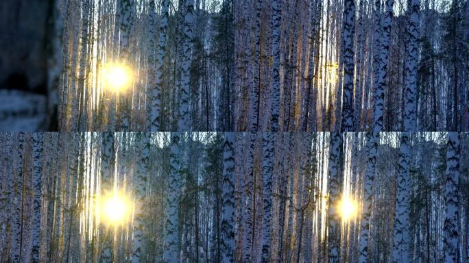 伯奇格罗夫的日落