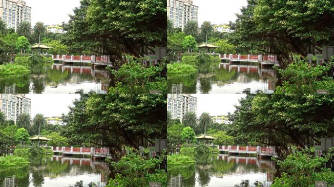 台北纪念馆中山公园湖的4k桥和凉亭