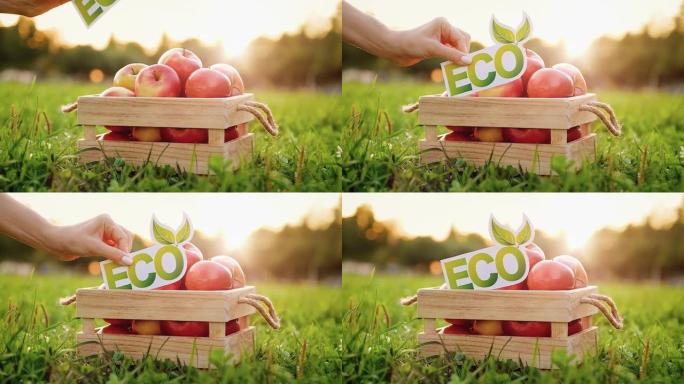 手在木盒子上放了一个生态铭文，上面放着美味的新鲜苹果
