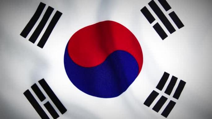4K近距离韩国国旗挥舞股票视频