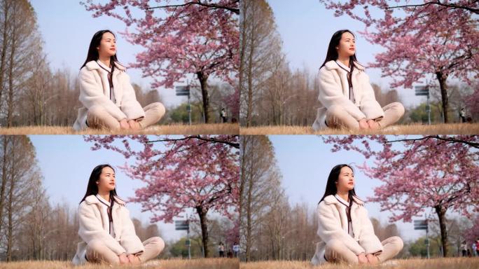 穿着白大褂的美丽中国年轻女子坐在粉红色樱花树背景的草地上，享受微风吹拂黑色长发，春天的美丽，4k，慢