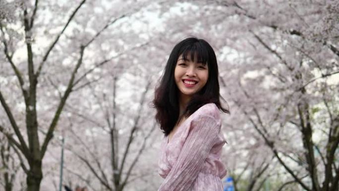 美丽的中国年轻女子站在粉红色的樱花森林中摇摇头，黑色长发随风飘扬，超慢动作。
