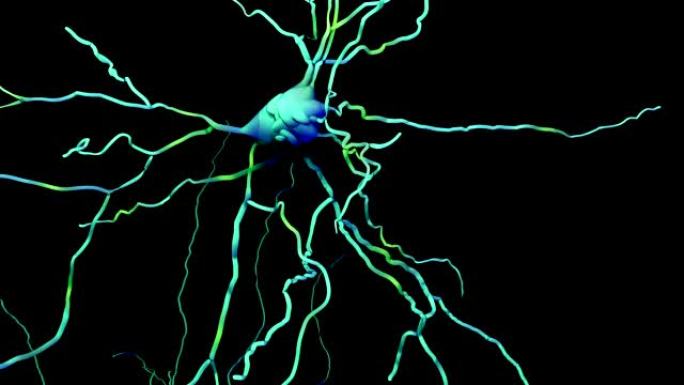 穿越神经元的大脑之旅以蓝色传递信息或记忆