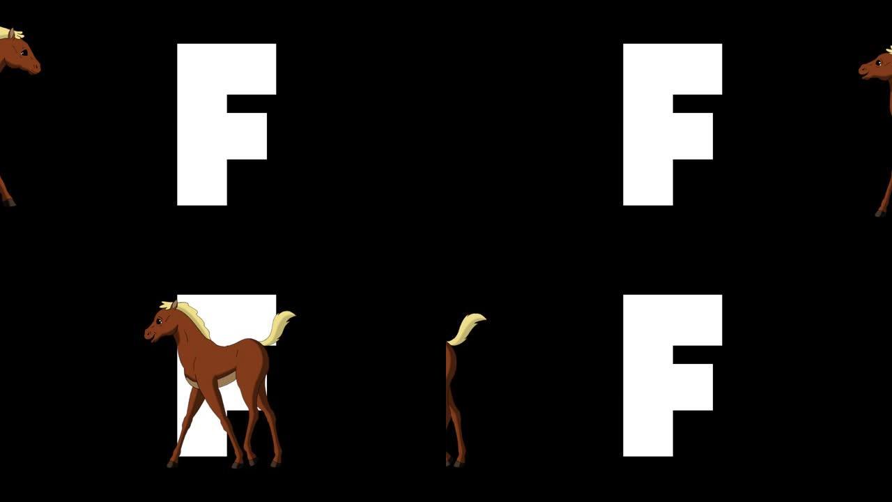 字母F和小马驹在前景