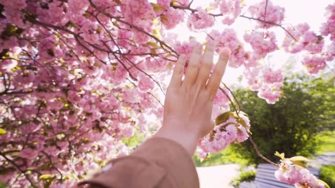 女人在盛开的花园里享受阳光明媚的日子