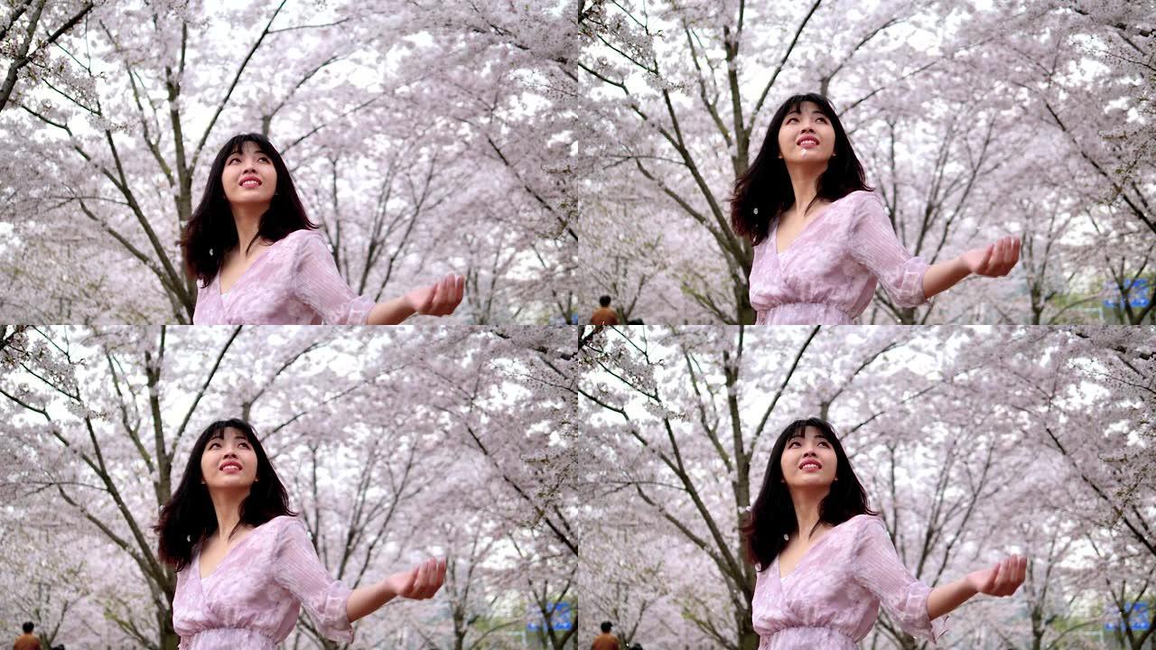 美丽的中国年轻女子站在樱花森林里，在风中看着飘落的花瓣，超慢的动作。