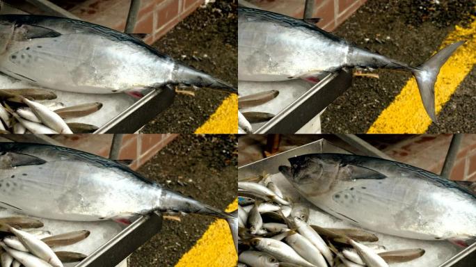 新鲜海鲜。海鱼特写镜头: 鲭鱼，金枪鱼，躺在街头市场的冰上。希腊。4K