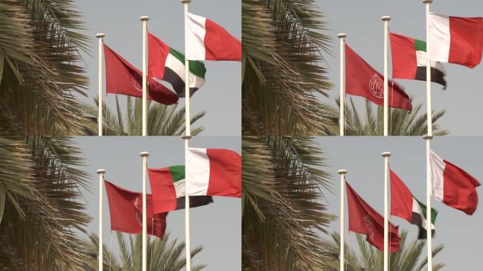 阿联酋旗帜