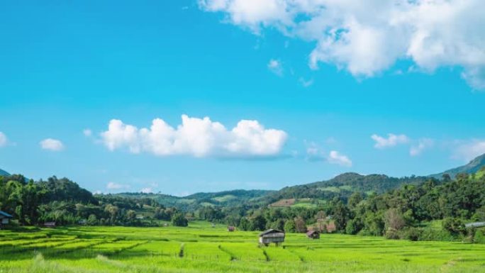 泰国炎热的夏日，4k延时拍摄在晴朗的蓝天中移动的白云，阳光穿过山脉，稻田和小小屋