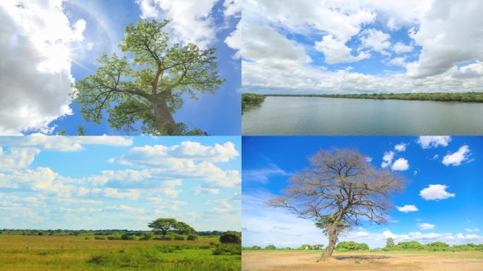 非洲赞比亚肯尼亚等自然风光延时