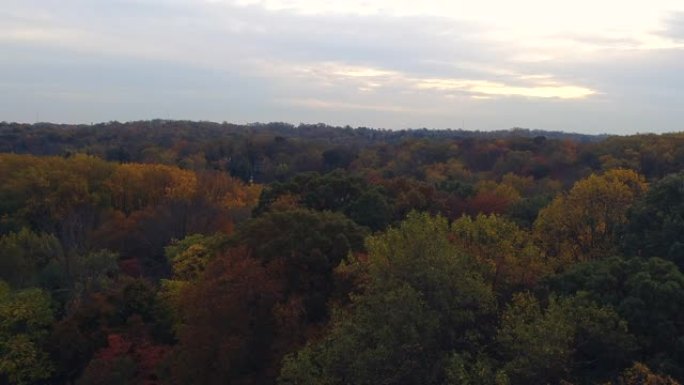 空中前进超过秋天的树木