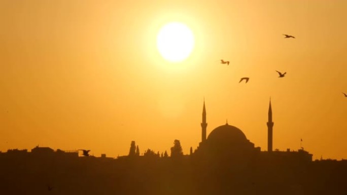 伊斯坦布尔日落时，海鸥飞过清真寺的慢动作剪辑