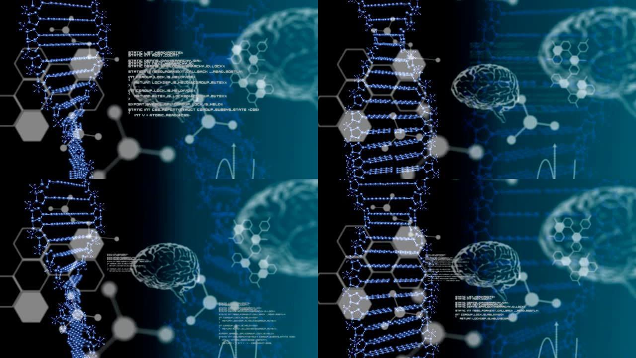 黑色背景上的DNA，脑图，数据和分子结构