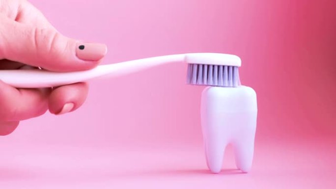 女性手刷粉红色背景上的大白牙。4k视频。牙科保健概念。