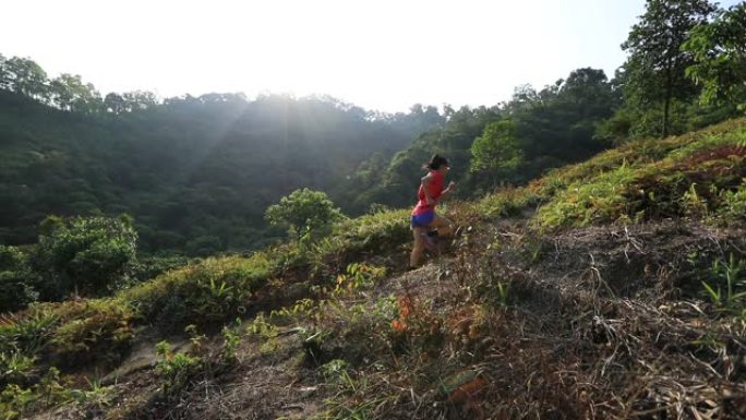 女子超级马拉松亚军在热带森林的山坡上奔跑