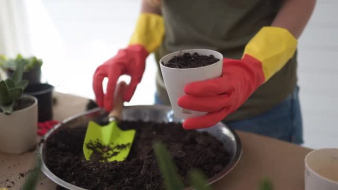 女人给小肉质植物赋予生命