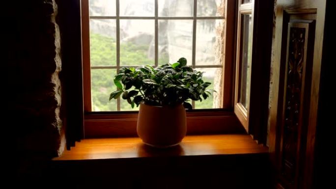 花盆。站在修道院窗台上的带花的陶罐。希腊。4K
