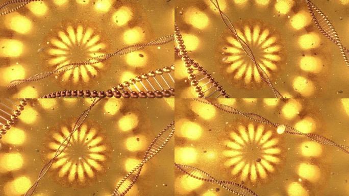 带有DNA分子漩涡的金色几何背景。3D渲染循环4k