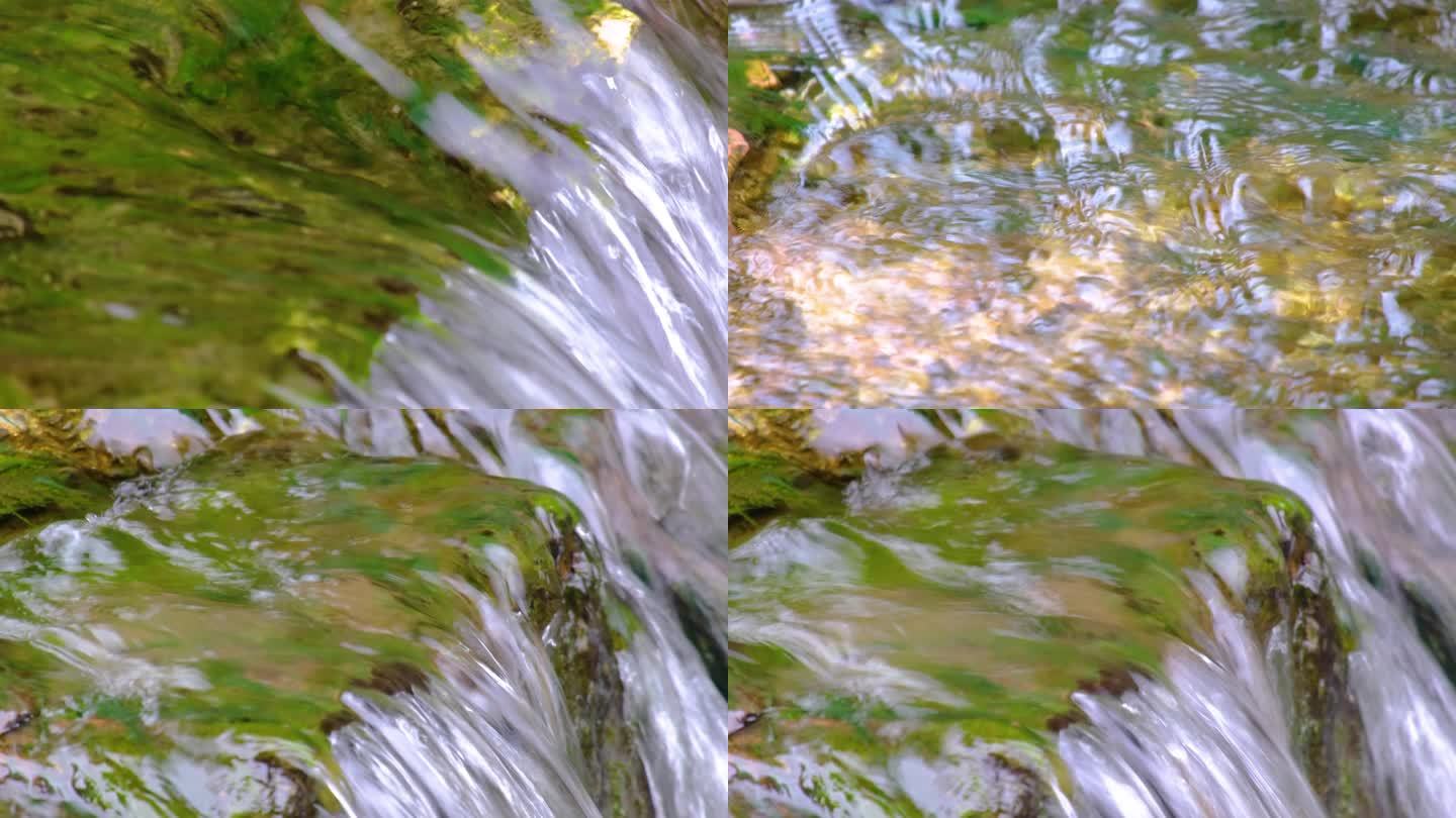 杭州植物园小溪流水特写视频素材