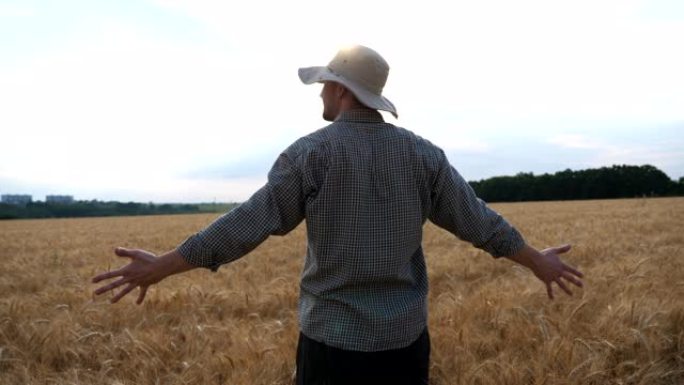 快乐的年轻农民站在成熟的麦田上，举手看着他的黄金种植园。男性农艺师看着大麦草地，对季节性大麦作物感到
