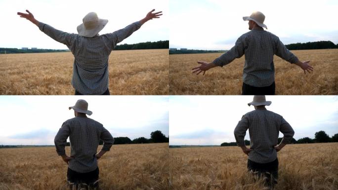 快乐的年轻农民站在成熟的麦田上，举手看着他的黄金种植园。男性农艺师看着大麦草地，对季节性大麦作物感到