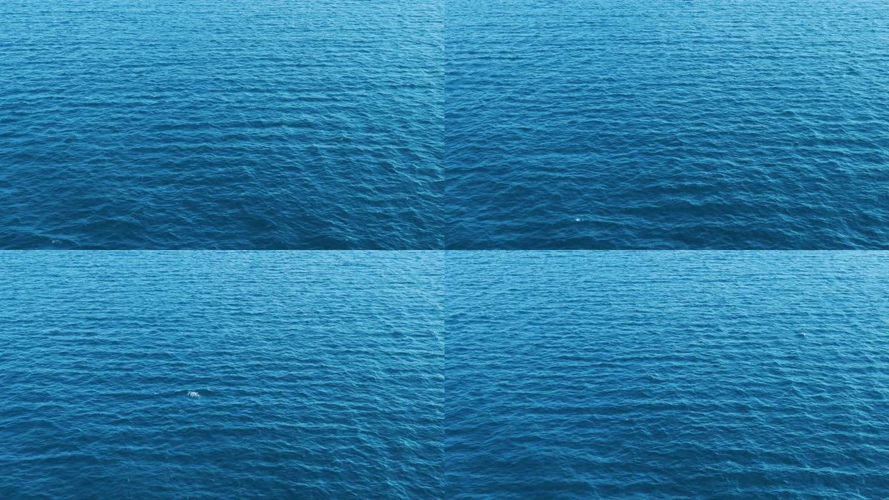 海浪