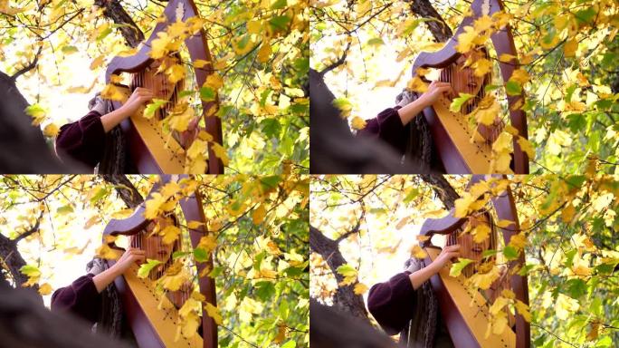 一个年轻女孩弹竖琴。她坐在秋天公园的树下。