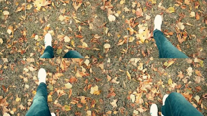 白色运动鞋鞋的特写镜头男人走在彩色秋叶地毯上的俯视图
