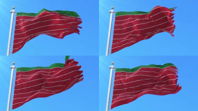 西班牙卡斯蒂尔和莱昂的萨莫拉省的旗帜-环