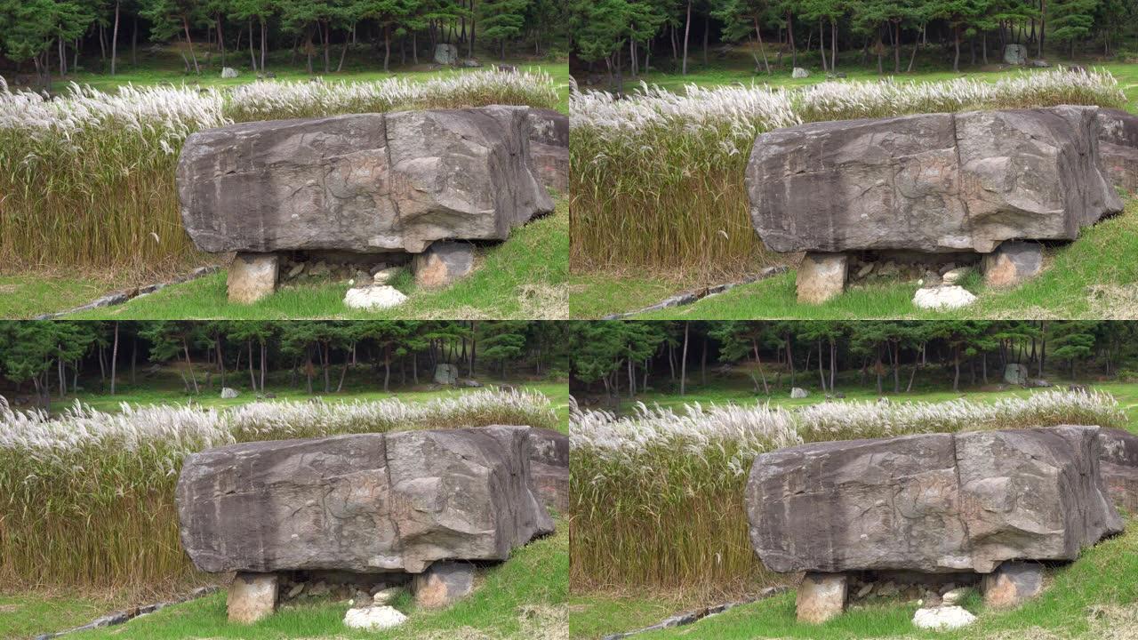 韩国高昌高昌支石墓遗址的go-board型和风中的花朵