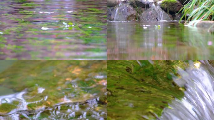 杭州植物园小溪流水风景视频素材