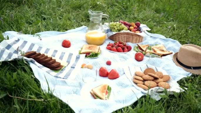 夏季在草地上野餐，有开放的野餐篮，水果，烤三明治和浆果。野餐桌布。