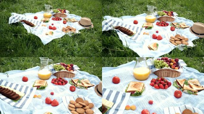 夏季在草地上野餐，有开放的野餐篮，水果，烤三明治和浆果。野餐桌布。