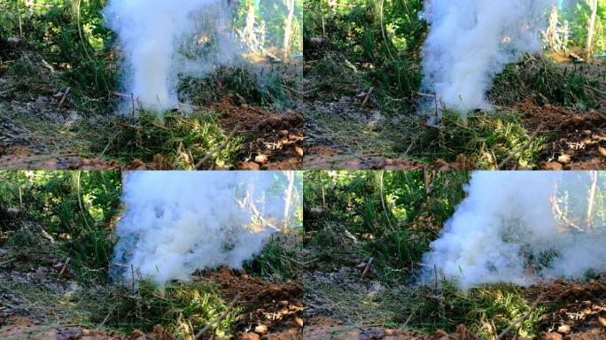燃烧的草地冒烟，环境破坏的象征，燃烧不完全