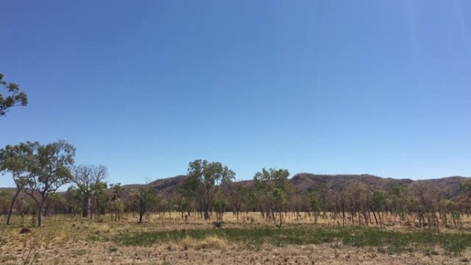西澳大利亚金伯利树的风景。