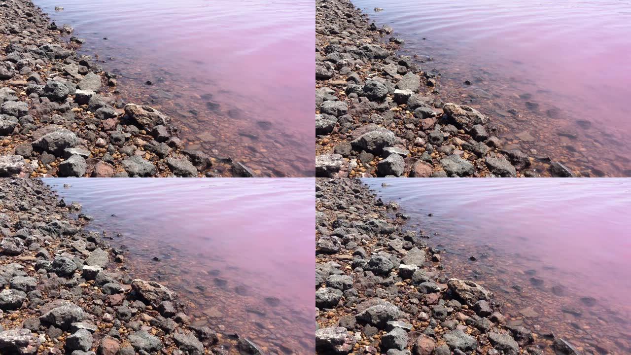 西澳大利亚州格雷戈里港的赫特泻湖粉红湖