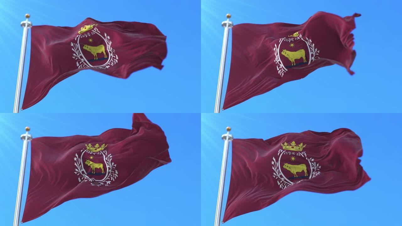 西班牙阿拉贡特鲁埃尔市的旗帜