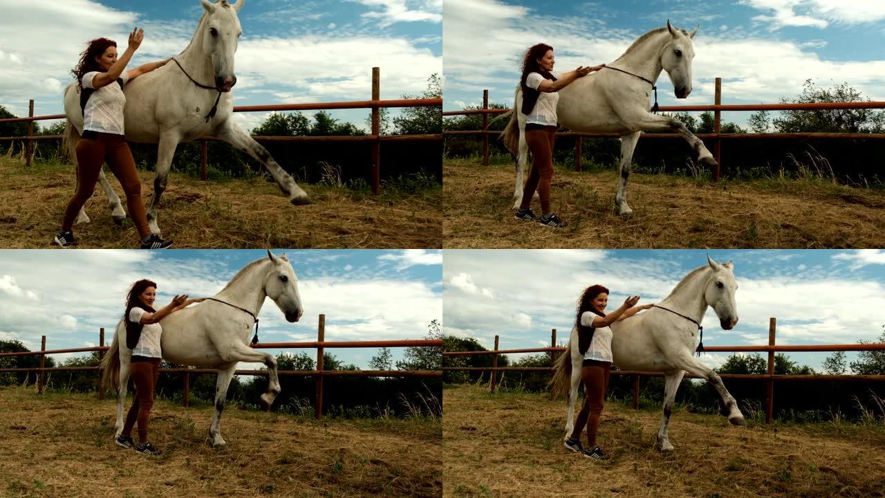 一名年轻女子和一匹马在围场上，马抬起双腿。
