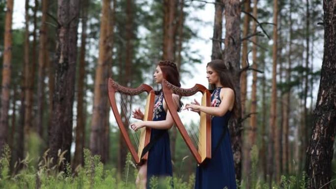 两名女竖琴手站在森林里弹奏竖琴。