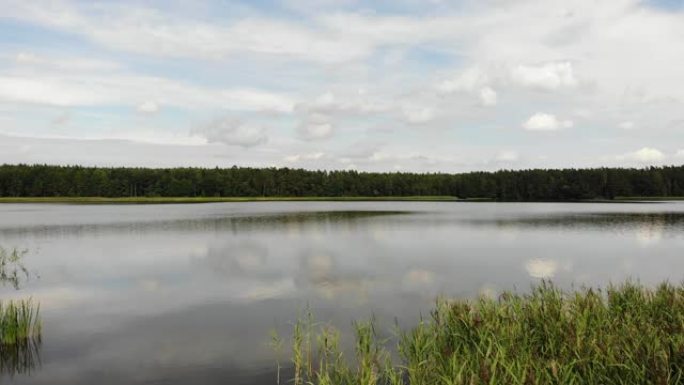 波兰马苏里亚湖岸。鸟瞰图