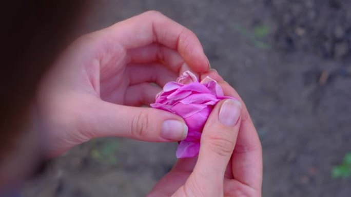 女性双手张开粉色花朵
