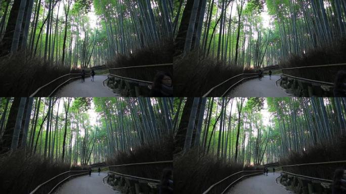 日本岚山京都的竹林