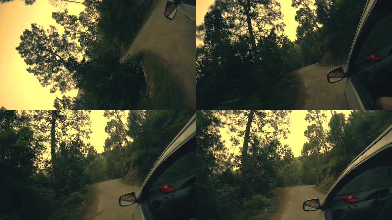 穿过山上松树的道路上的旋转视图。